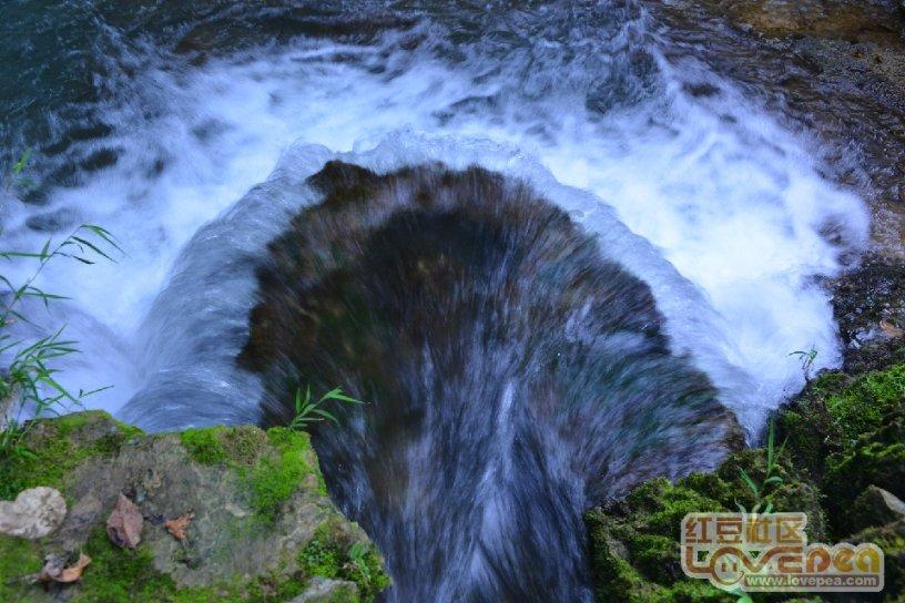 森系丛林